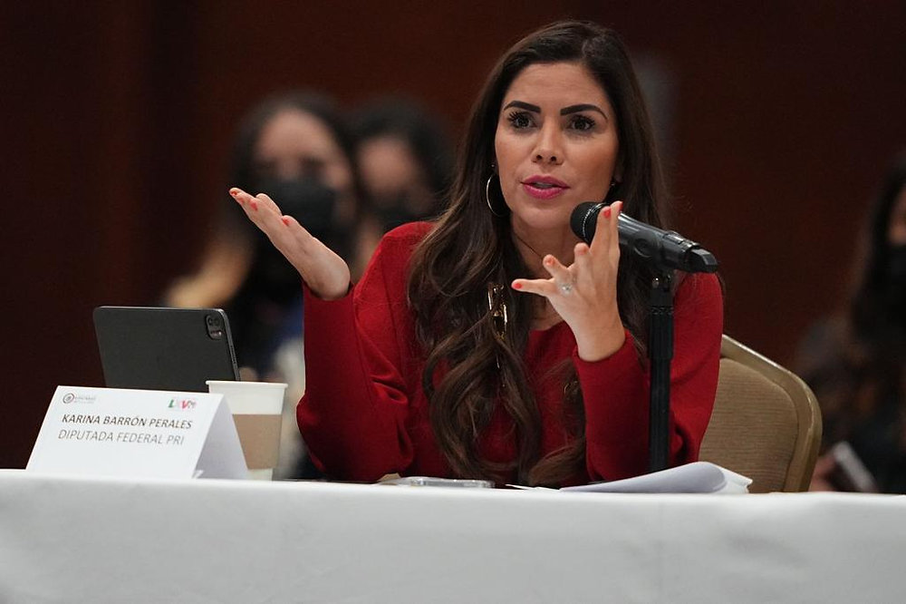 Karina Barrón durante su periodo como diputada federal, archivo del grupo parlamentario de 2022